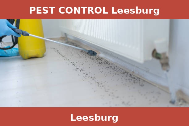PEST CONTROL Leesburg